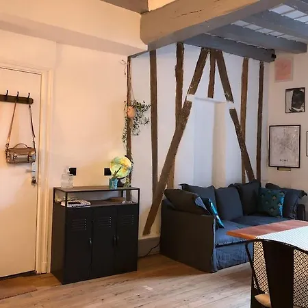 Apartment Du Xviii Siecle Entierement Renove Dijon